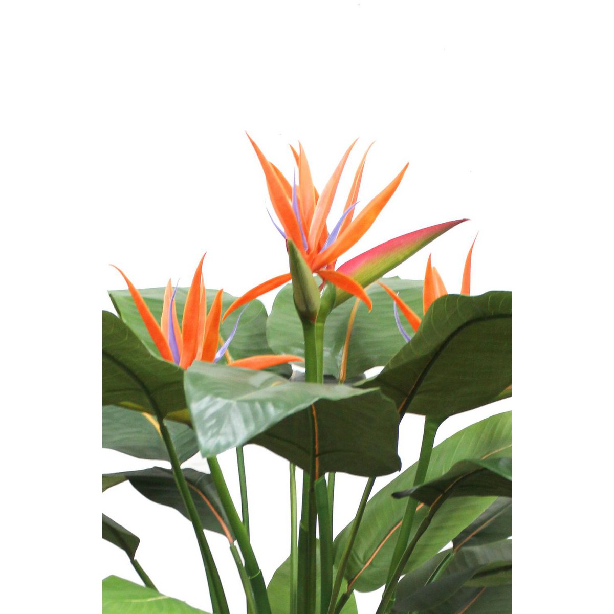 Strelitzia Kunstplant 120cm met bloem