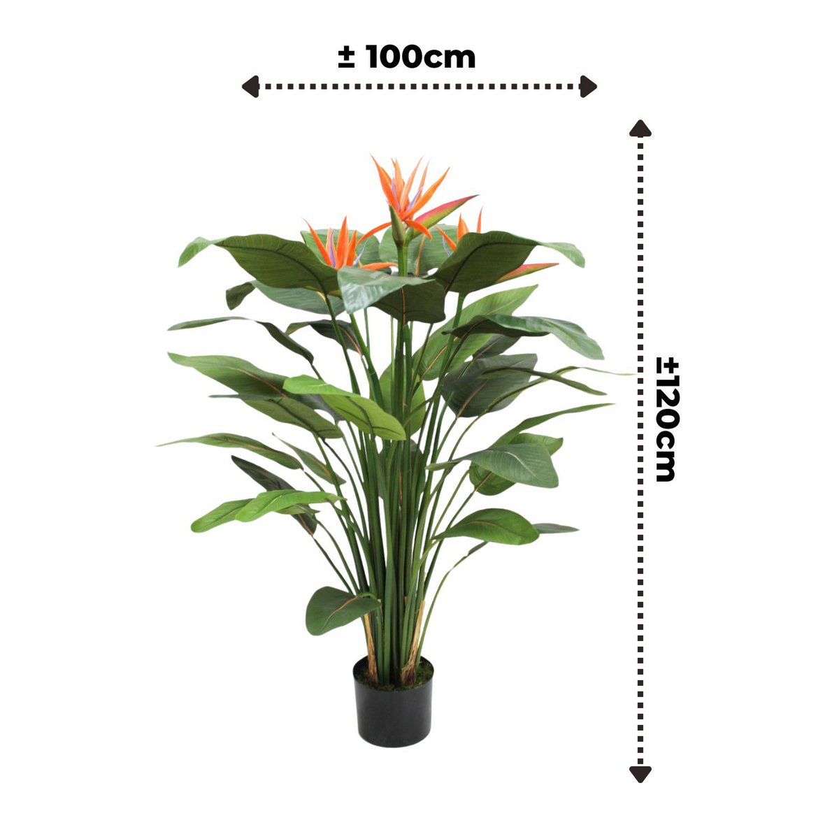 Strelitzia Kunstplant 120cm met bloem