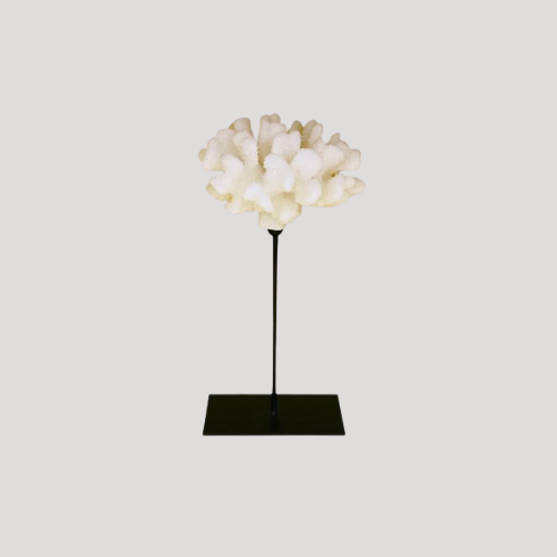 Decoratie