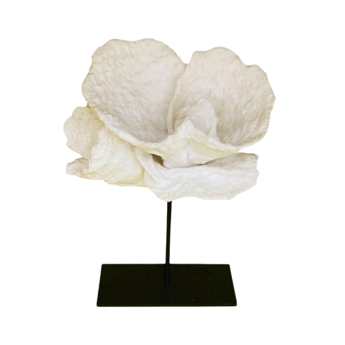 Koraal bloem